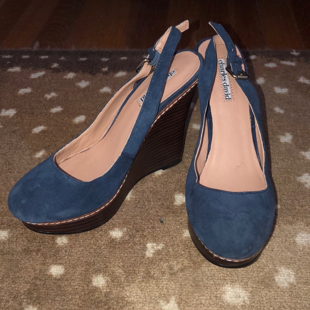 Charles David Navy Suede Wedges